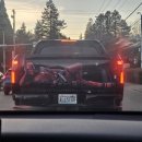 루터약국 이미지