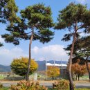 경천 체육공원 이미지