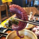 착한우리동네족발 | 안산본오동맛집 야들야들한 보약족발 상록수점｜안산족발 제대로, 문어 후식까지 완벽