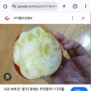 요새 사과 개비싼데 비싼만큼 개맛있노 이미지