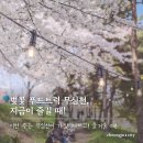 특수임무유공자회청주시지회 | 벚꽃 푸드트럭 무심천, 청주시 지금이 즐길 때!