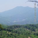 "千年의 숲"을 품은 山: 牙山 鳳首山 탐방 이미지