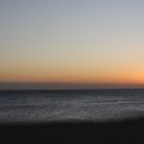 플로리다 대탄 이미지