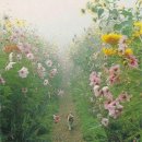 뻐꾸기 식당 이미지