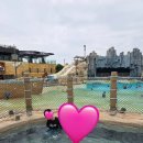 김밥월드 이미지