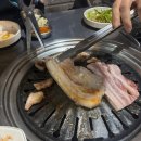 먹으면 돈돼지