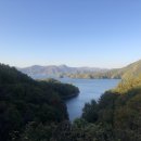 게으른 악어 이미지