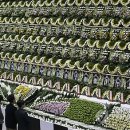 강서고교사거리 이미지