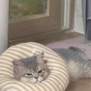 6月の終わり