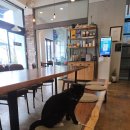 이디야커피전북모악점 이미지