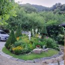 엘가팬션 | 힐링하기 좋은 강원도 독채 펜션 홍천 엘가펜션