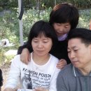 안평초교 이미지