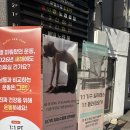 소도구 요가 | [ 신림 ] 신림요가 미플라잉요가앤필라테스 | 소도구 필라테스 솔직 후기 !