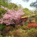 숲이랑농원 이미지