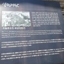 아코디언 켜는 사람 이미지