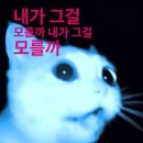 무수리 이미지