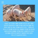 (주)넬바이오텍 이미지