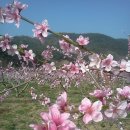 이세상사