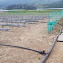 점애농장 이미지