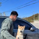 시인과촌장식당 이미지