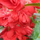 월항면복지회관 이미지