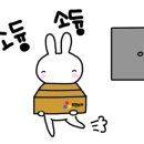 호텔 여기어때 묵호점 이미지