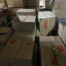 영암유진 이미지