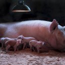 (주)우성양행 이미지