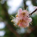 기억의 순간 이미지