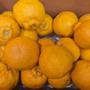 창주농장 이미지