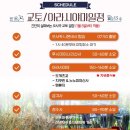 교토 여우신사 후시미이나리신사 유부초밥 꼭