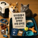 베이동물병원 | 반려동물과 함께하는 완벽한 여행 준비법 2025년 최신판