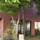 카페녹식물샵 | [양주 옥정] 녹만 카페｜아기와 함께 가기 좋은 식물 가득한 감성 카페