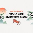 가제트병원 이미지