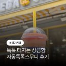 써니톡톡 | 여름 음료 추천 메가커피 자몽톡톡스무디 솔직 리뷰