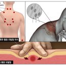 우성사우나 이미지