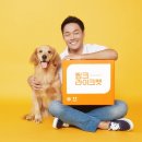 라이크펫 이미지