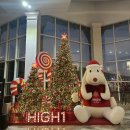 1340 | 정선 하이원리조트 숙박 후기 / 오리엔 중식당 / 1340 프리미엄 소고기