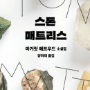 마거릿 애트우드 &lt;스톤 매트리스&gt;