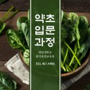 대림평생교육원