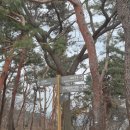 서장대 안내소 이미지