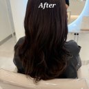 원헤어(WON HAIR) | 대연동미용실 어반뮤즈헤어살롱에서 나노힐클리닉 받고 온 후기