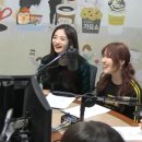 시연