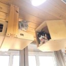 우리동네펫 이미지