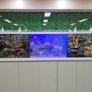 아쿠아트 이미지