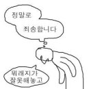 삼육오튀김 이미지