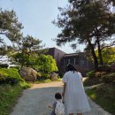 남양주 미호박물관 후기 서울근교 아이와 함께 가족 나들이하기 좋은 곳을 소개합니다