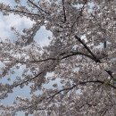 꽃내음가득 | 꽃내음 가득