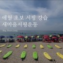 제주 애월 초보 서핑 강습 ‘새마을서핑운동’ 내돈내산 후기