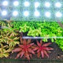 유경2호 이미지